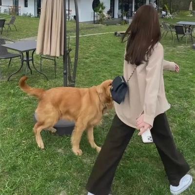 冰上动物宝宝